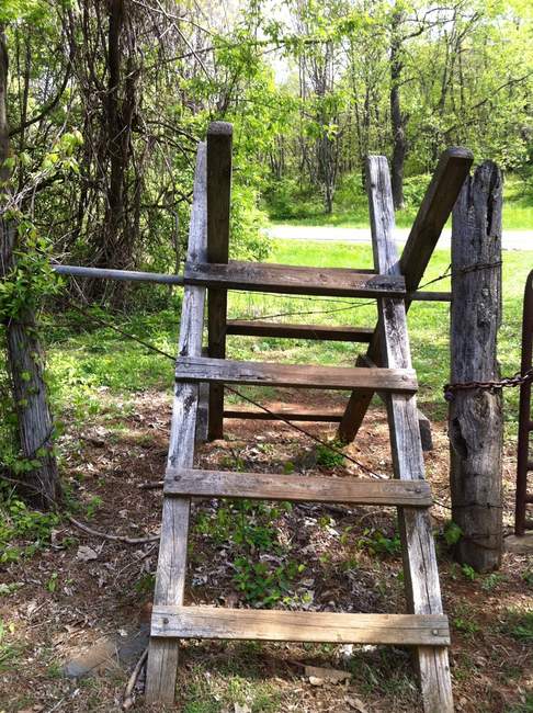 Obstacle to keep out the animals (I guess)