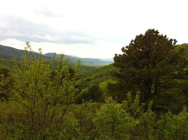 Another gorgeous scene