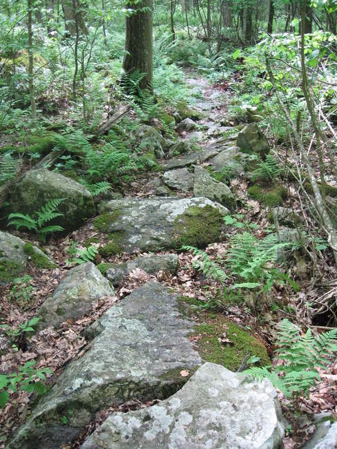 A steep, difficult path lies ahead...