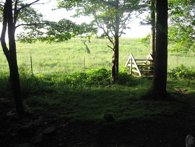 The view from the picnic table at the Rice Field Shelter