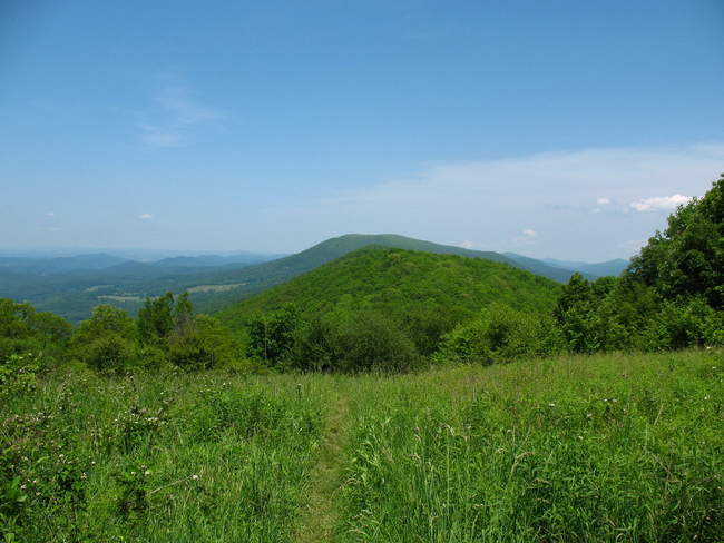 The view from a clearing