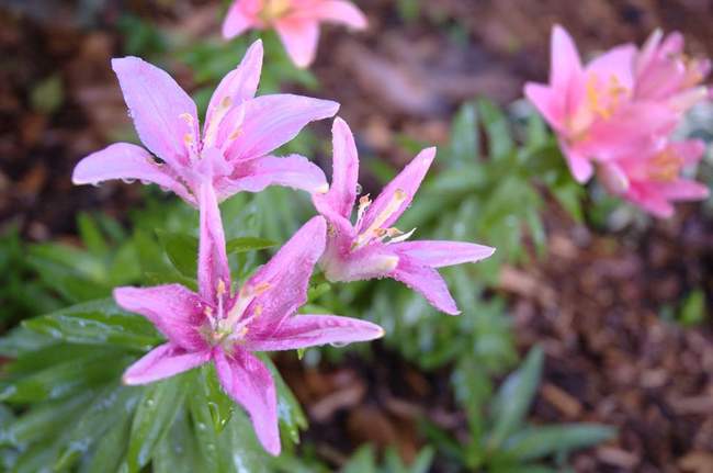 With a couple in the background