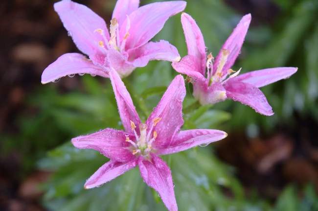 Focusing on the main ones