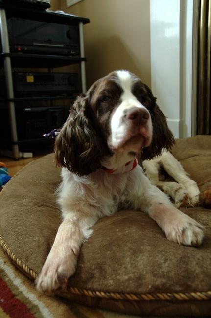 Oops, I woke him up!