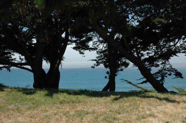 A gorgeous view appears!