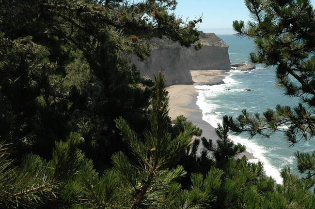 We are starting to see something awesome