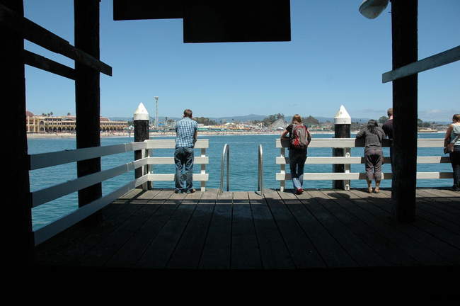 On the floating platform, looking down at the seals below