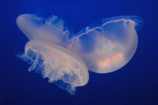 I am reminded of Super Metroid...