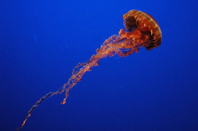 Yikes, that one looks boos