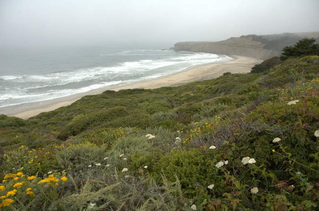 The green holds on for dear life against the strong wind