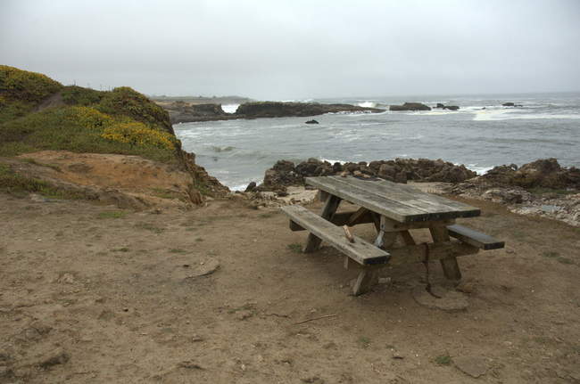 Up on top of the bluff looking out
