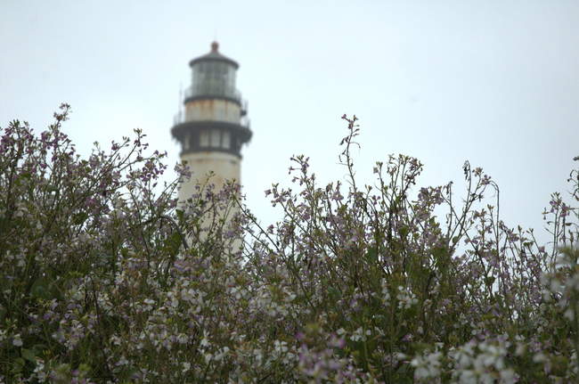 Pigeon Point Lighthouse