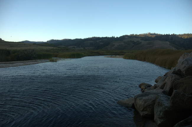 Peering under the bridge