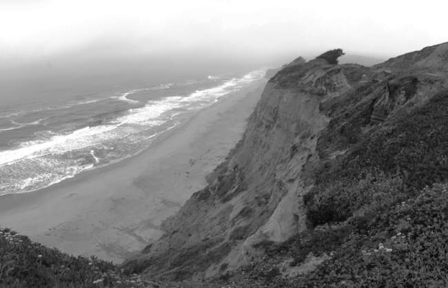 Bluffs covered in the early morning fog, just south of San Francisco