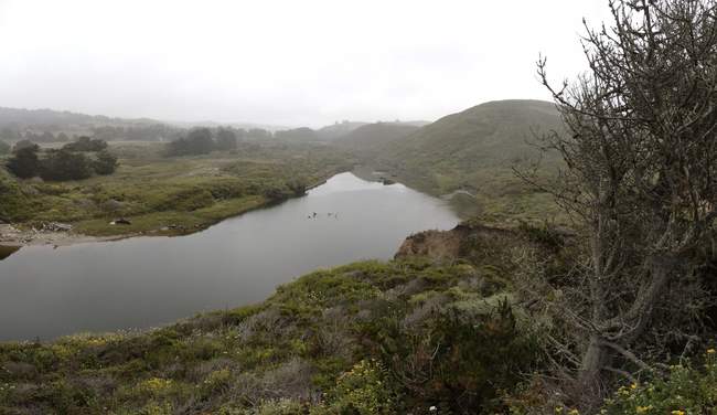 I jogged across a narrow walkway on a bridge to get this one. I wanted to remember the view!