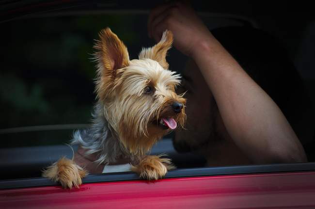 Waiting for Mom in the park