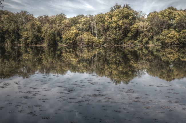 A fantastic reflection