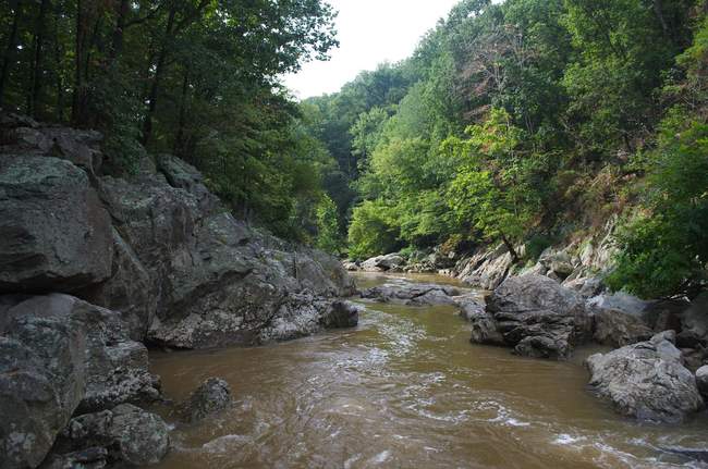 The light was fantastic, coming down through the trees.