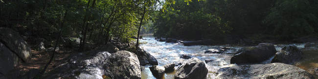 Morning on Difficult Run