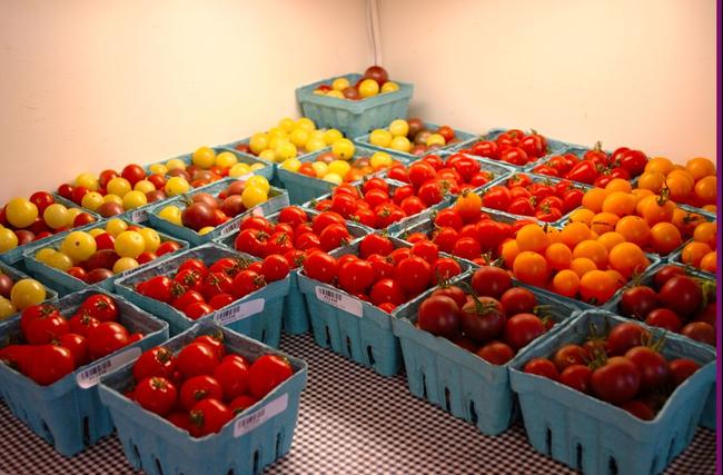 Locally grown tomatoes on display