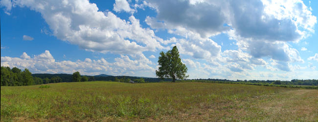 The view outside of Swedenburg Estate Vineyard