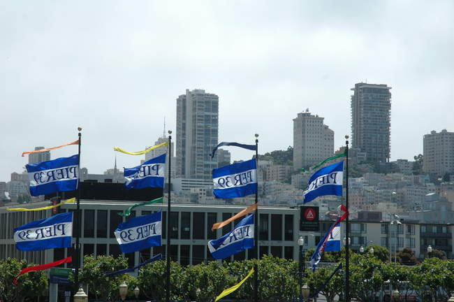 Looking back towards the city from pier 39