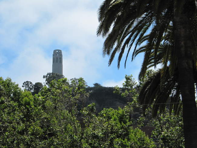 Another view from Pier 39 
