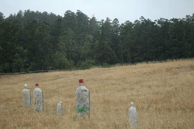 A reminder to leave only footprints