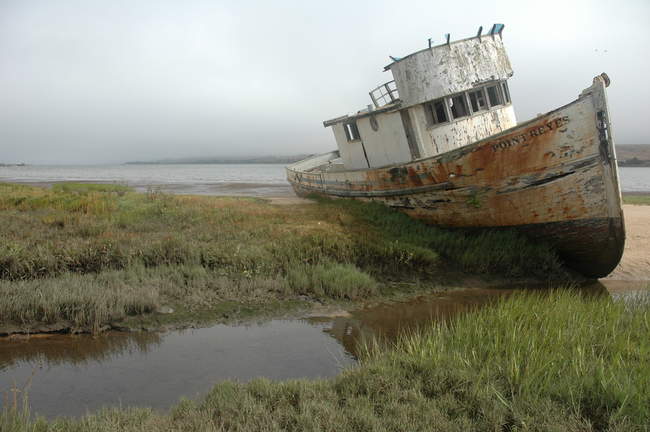 A local told me it has only been there for 12 or 15 years