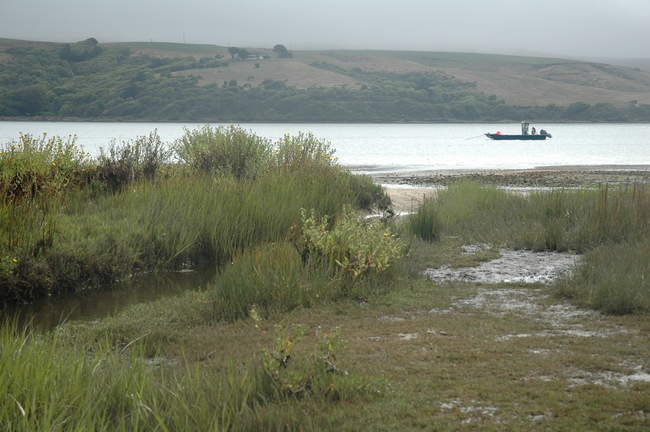 Fishing over the San Andreas Fault 