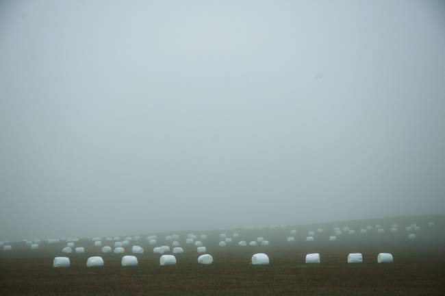 I am not sure why these bales of hay were wrapped up like that