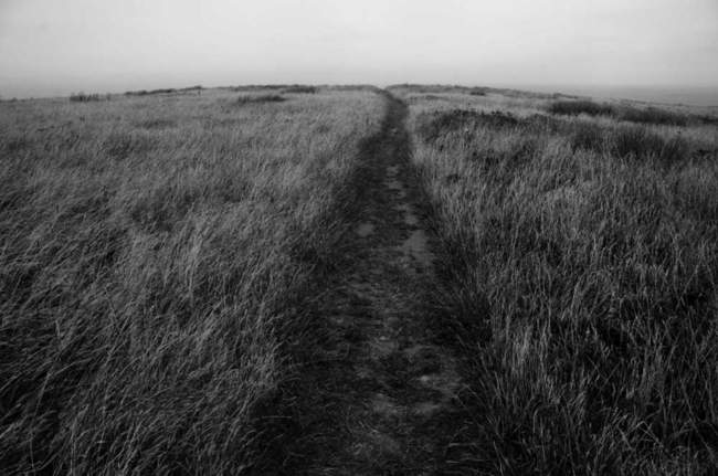 The trail less traveled