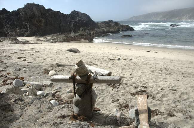 This little guy is enjoying the view