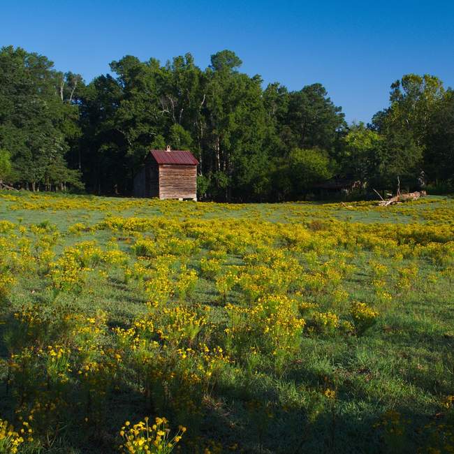Dilapidated farmhouse on the side of Route 1 near Raleigh, North Carolina