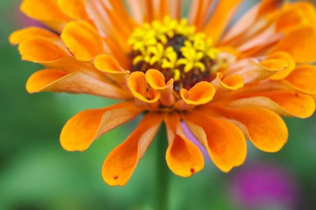 This one is reaching out to you