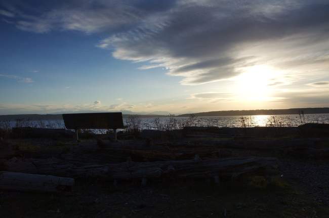 Bench on Whidbey Island