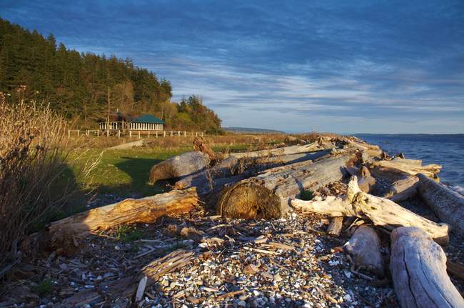 Looking south on Whidbey Island