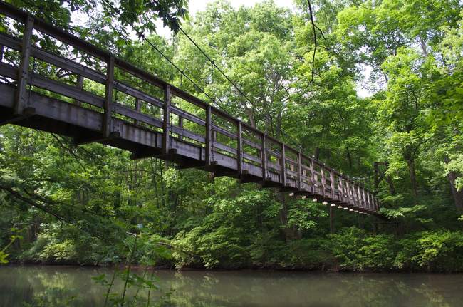 The suspension bridge