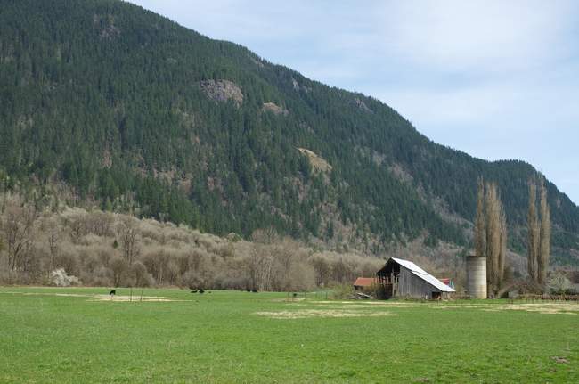 Beautiful farmland opposite a slow-moving stream