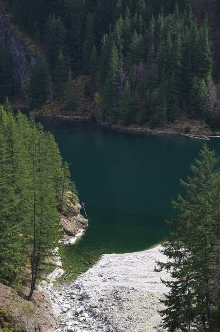 Looking down at the green water