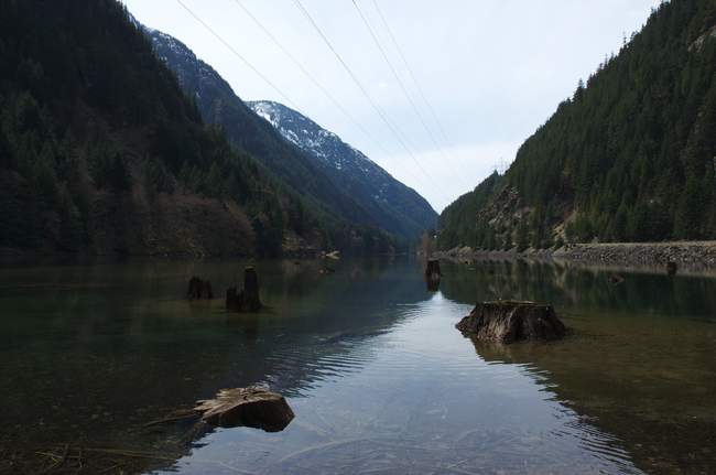 The lake full of stumps