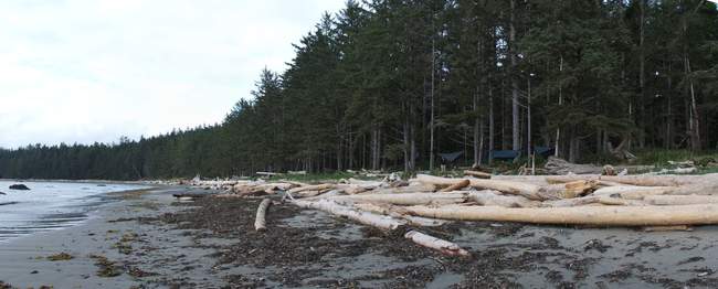 Another view of the campsite Another view of the campsite