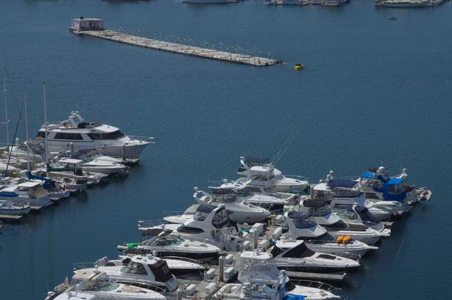 Someone won at king of the hill!