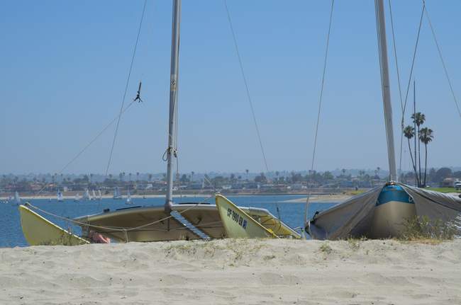 Looking out over the bay