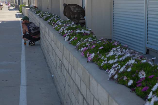 Staying out of the sun