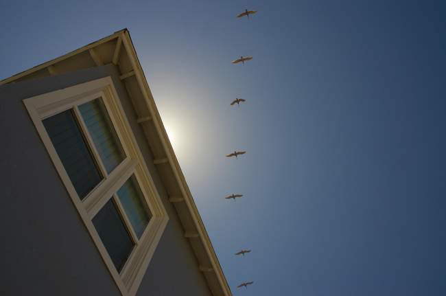 Looking up might have gotten me the best shot of the trip!