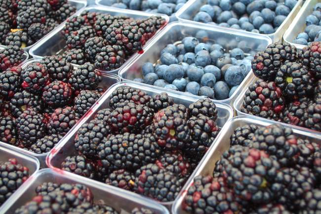 The blackberries absolutely dwarve the blueberries