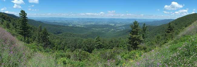 Stony Man Overlook (3100ft, W)