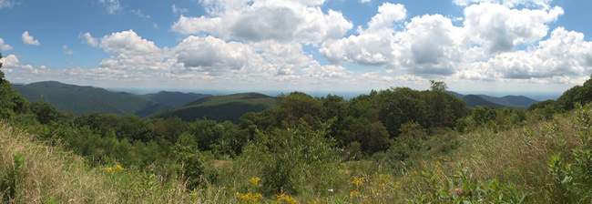 Thorofare Mountain Overlook (3595ft, W)