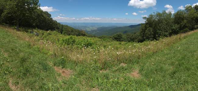 Fishers Gap Overlook (3070ft, E)